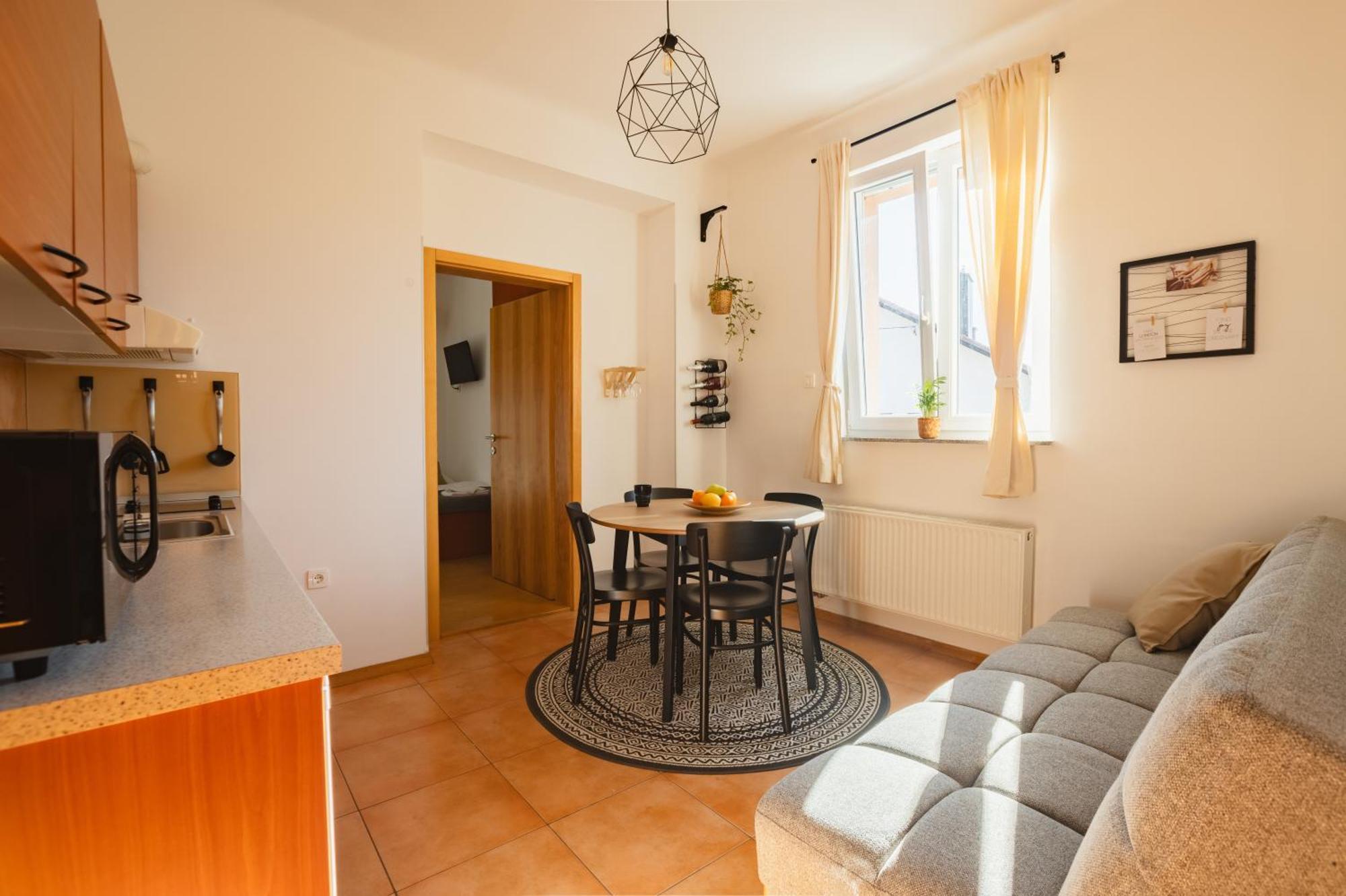 Vila Klara Apartments Ljubljana Luaran gambar
